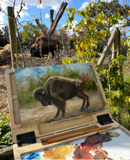 Anita gaasbeek Bison olieverf in Blijdorp