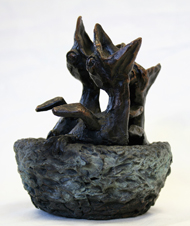 Nestdrang Janna van de Kaa