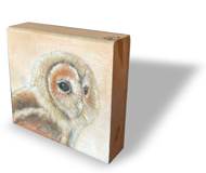 Uilskuiken Nathalie Verkade